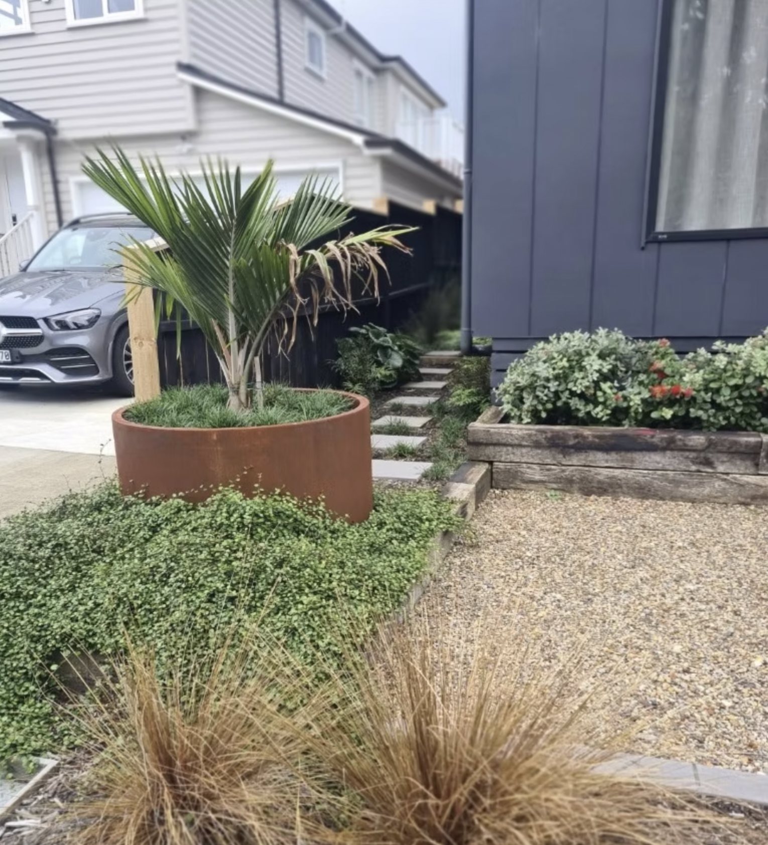 A corten circular planter and palm in a front garden
