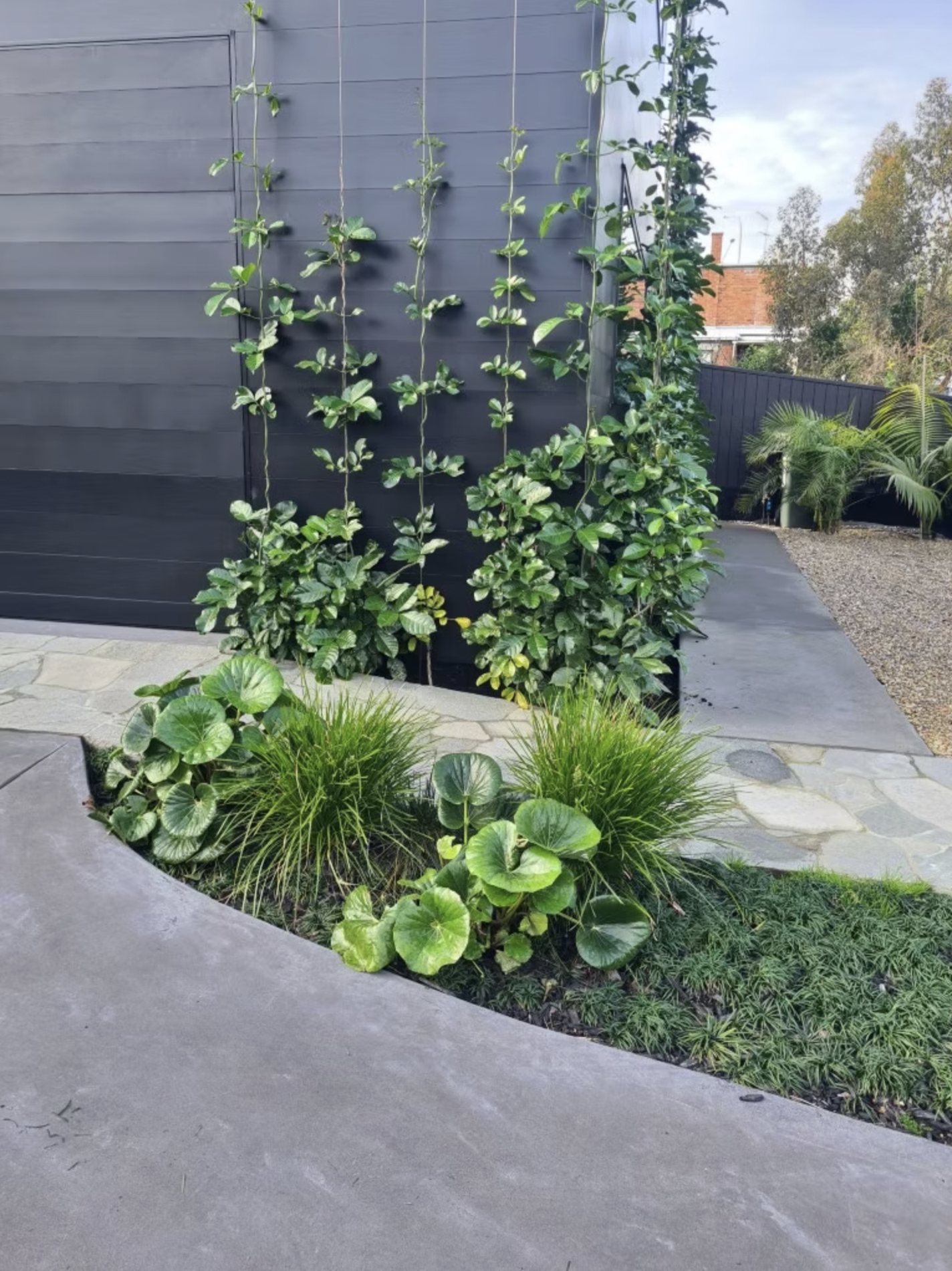 The delivered green wall and planting