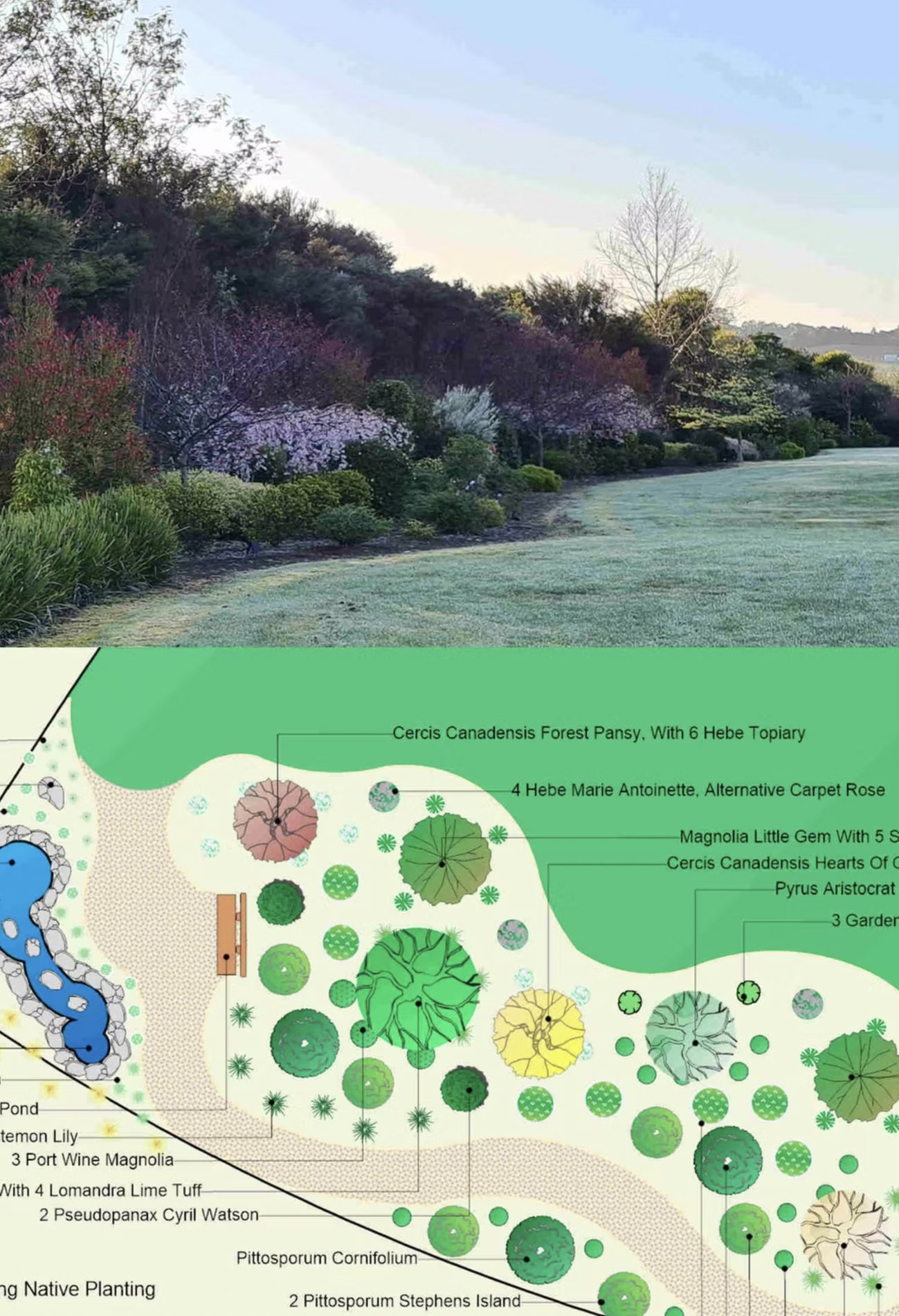 The colour concept plan for the garden